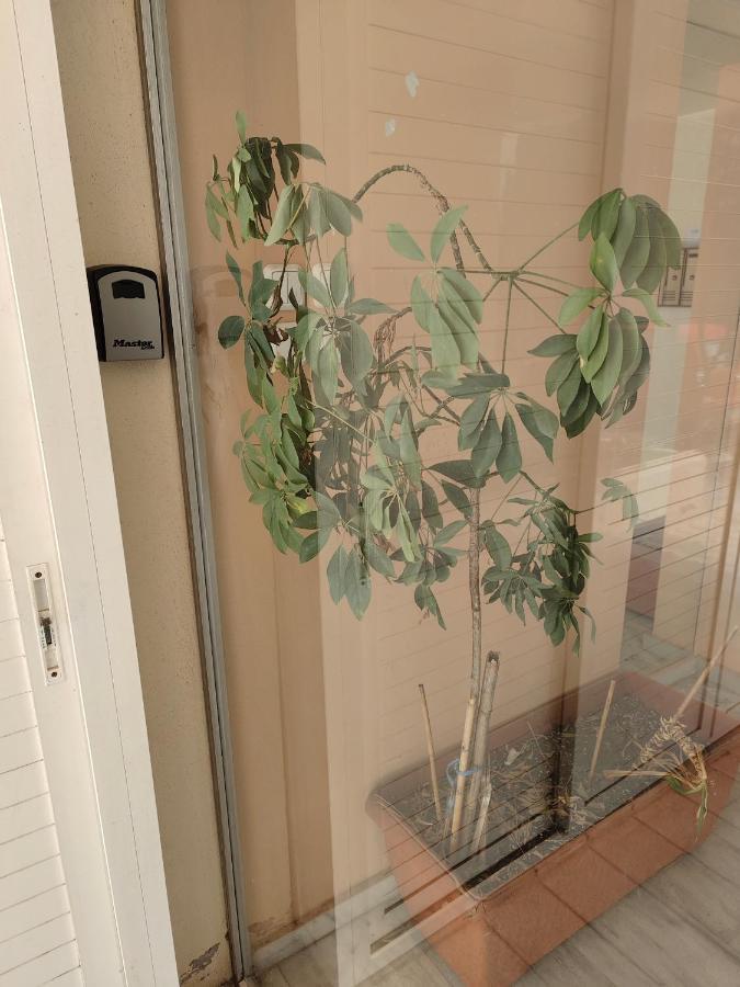 Volos Studio Stella Eksteriør bilde